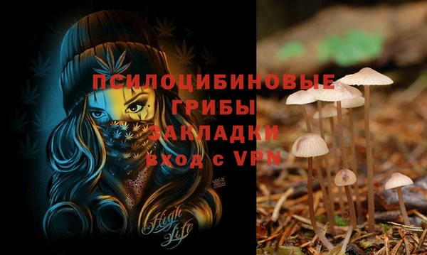 прущая мука Магас